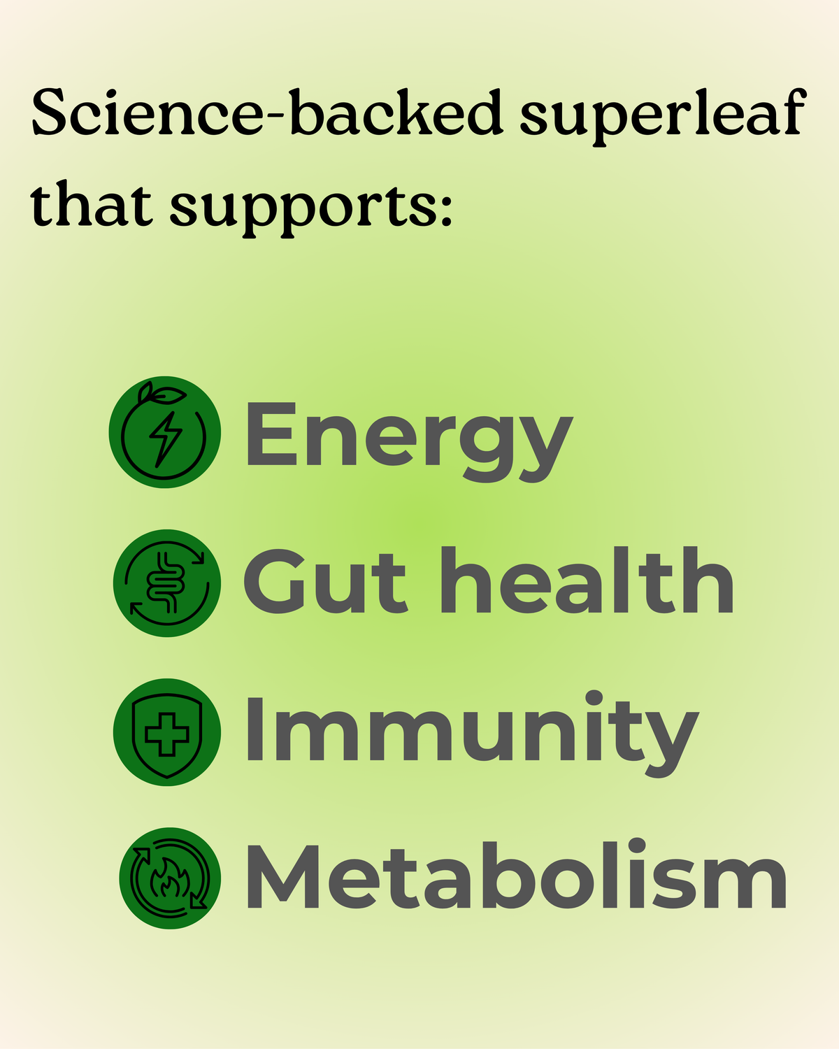 Energy, gut health, immunity and metabolism boost by our Energyze bag